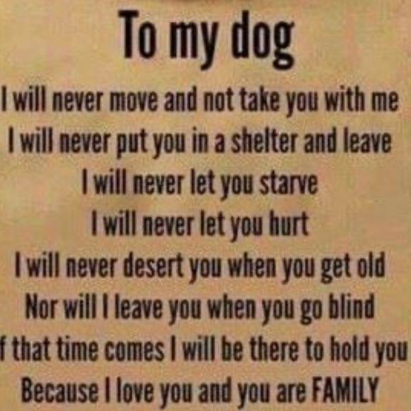 Women’s Shoes and Accessories - Picture 12 of 15